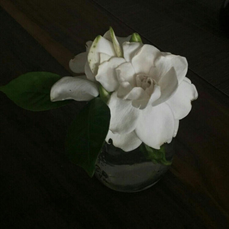 苍井优（饰 高荷惠） - 无广告纯净版在线观看 - 网页看剧